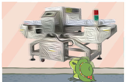 今天你養蛙兒了么？